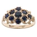 9ct Yellow Gold Sapphire Cluster Ring