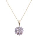 9ct Yellow Gold Tanzanite Cluster Pendant and Chain 16"