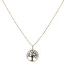 14ct Yellow Gold Anchor Chain 22"