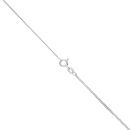 Silver Natural Baltic Amber Paw Print Pendant and Chain 18" By Icesia