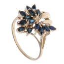 9ct Yellow Gold Sapphire Fancy Cluster Ring