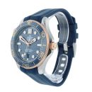 Omega Seamaster Pre Owned Watch Ref 21022422003002