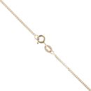 9ct Yellow Gold Garnet Heart Pendant and Chain 16"