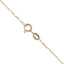 9ct Yellow Gold Cubic Zirconia Dolphin Pendant and Chain 18"