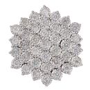 18ct White Gold 2.00ct Brilliant Cut Diamond Cluster Ring