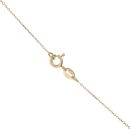 9ct Yellow Gold Cubic Zirconia Dolphin Pendant and Chain 18"