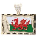 9ct Yellow Gold Cubic Zirconia Welsh Flag Pendant
