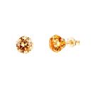 9ct Yellow Gold Champagne Cubic Zirconia Stud Earrings 5mm