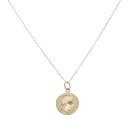 9ct Yellow Gold Fancy Coin Pendant and Chain 16"