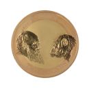 2009 Charles Darwin Two Pound UK Coin Boxed with Info