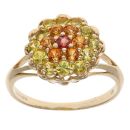 9ct Yellow Gold Multi Gemstone Cluster Ring