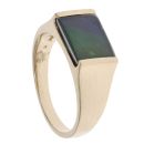 9ct Yellow Gold Korite Amoolite Signet Ring