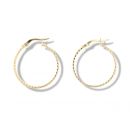 9ct Yellow Gold Diamond Cut Hoop Earrings