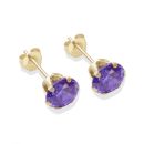 9ct Yellow Gold Amethyst Cubic Zirconia Stud Earrings 6mm