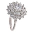 18ct White Gold 2.65ct Brilliant Cut Diamond Cluster Ring
