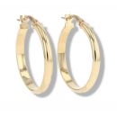 9ct Yellow Gold Polished Hoop Earrings