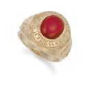 9ct Yellow Gold College Ring