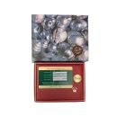 Rolex Custom Datejust Pre Owned Watch Ref 69173