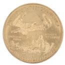 2019 1oz American Eagle USA Liberty Coin