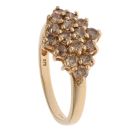 9ct Yellow Gold 1.00ct Brilliant Cut Diamond Cluster Ring