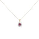 18ct Yellow Gold 0.50ct Brilliant Cut Diamond and Ruby Cluster Pendant And Chain 18"