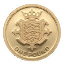 2015 Elizabeth II Jersey 1 Pound Coin Boxed