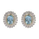 9ct Yellow and White Gold 0.10ct Diamond and Blue Topaz Cluster Stud Earrings