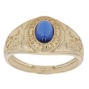 9ct Yellow Gold Blue Gemstone College Ring