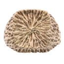 9ct Yellow Gold Textured Signet Ring