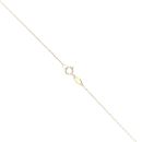 9ct Yellow & White Gold Star Pendant & Chain 18"