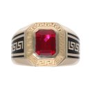 14ct Yellow Gold Gents Stone Set Ring