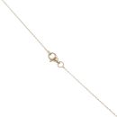 9ct Yellow Gold Double Coin Fancy Pendant and Chain 16"