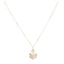 9ct Yellow Gold Welsh Feathers Pendant and Chain 16"