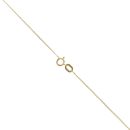 9ct Yellow Gold 0.01ct Diamond And Amethyst Pendant And Chain 18"