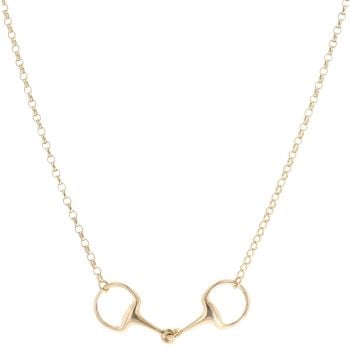 9ct Yellow Gold Stirrups and Belcher Chain 22"