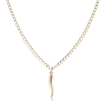 9ct Yellow Gold Horn Of Plenty Pendant and Chain 20"