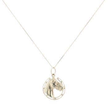 9ct Yellow Gold Horseshoe Pendant And Chain 18"