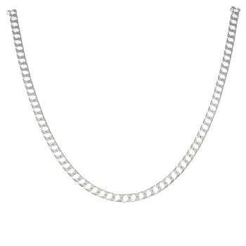 Silver Curb Chain 22"