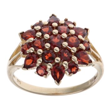 9ct Yellow Gold Garnet Fancy Cluster Ring