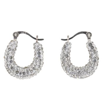 Silver Crystal Hoop Earrings