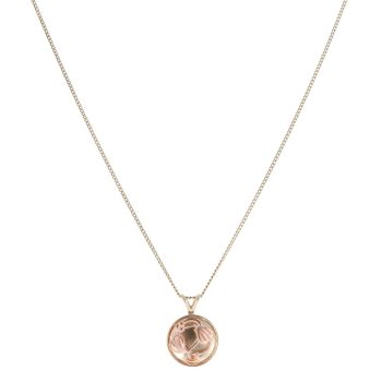9ct Yellow and Rose Gold Vine Of Life Clogau Pendant and Chain 18"