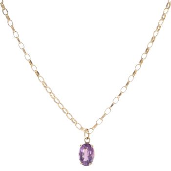 9ct Yellow Gold Amethyst Solitaire Pendant and Chain 20"