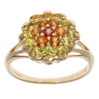 9ct Yellow Gold Multi Gemstone Cluster Ring