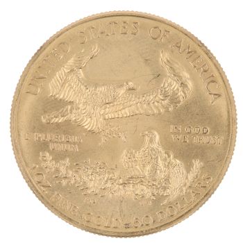 2019 1oz American Eagle USA Liberty Coin