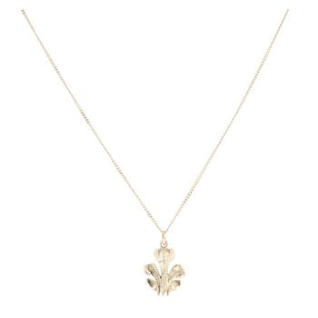 9ct Yellow Gold Welsh Feathers Pendant and Chain 16"