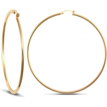 9ct Yellow Gold Polished Hoop Earrings