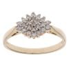 9ct Yellow Gold 0.20ct Diamond Cluster Ring
