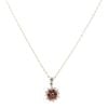 9ct Yellow Gold Garnet Cluster Pendant and Chain 16"