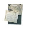 Rolex Datejust Pre Owned Watch Ref 16234