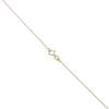 9ct Yellow Gold 0.15ct Diamond and Ruby Cluster Pendant and Chain 16"